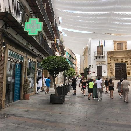 Entre El Centro Y La Mezquita Totalmente Climatizado Parking Gratuito Lejlighed Córdoba Eksteriør billede